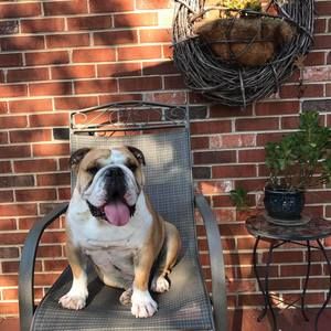 Meet your Posher, Kimberly